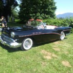 Fathers Day In The Park, Mission, BC